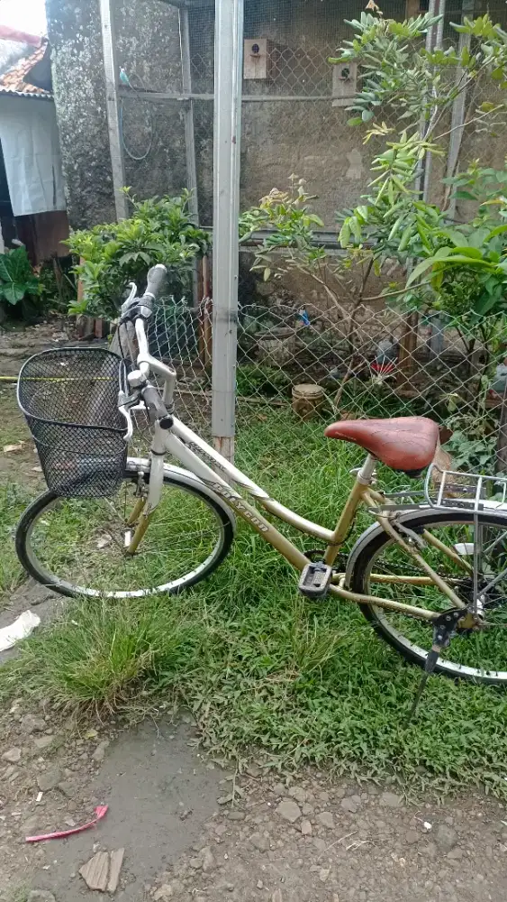 Polygon sierra cx sepeda keranjang frame alloy