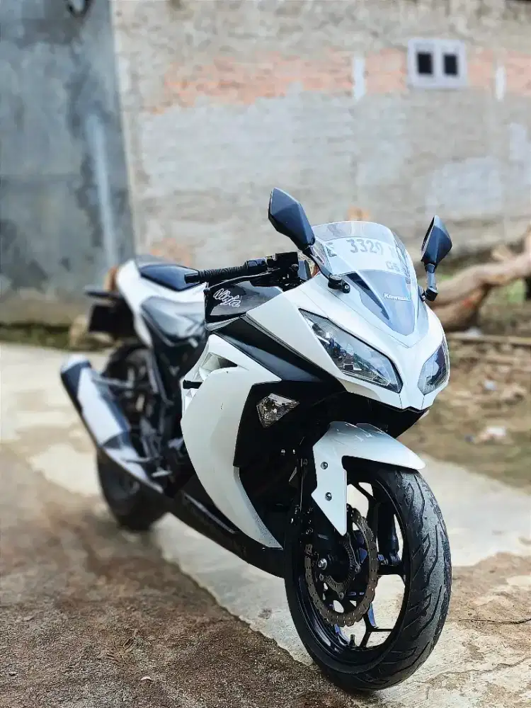 Ninja 250 f1 2014