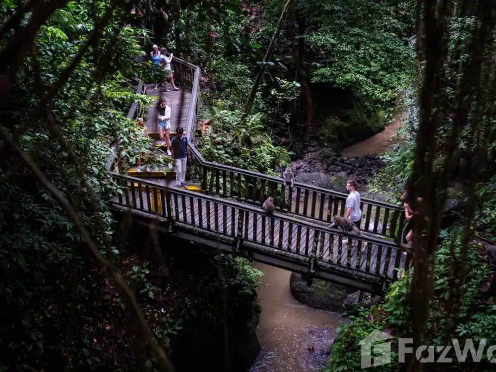 Land for sale in Ubud, Bali