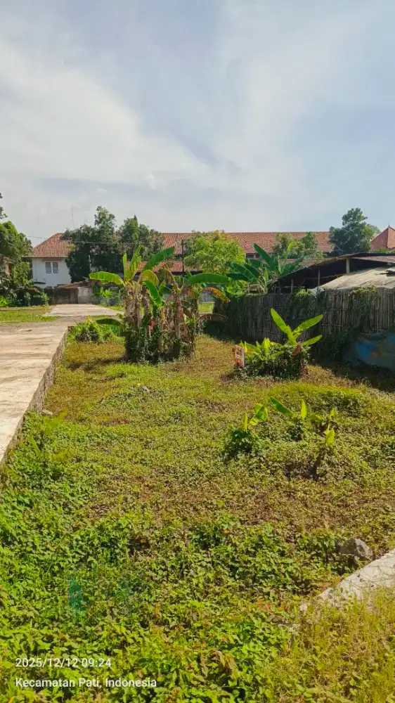 Tanah strategis samping SMA 1 Pati, Plangitan Pati