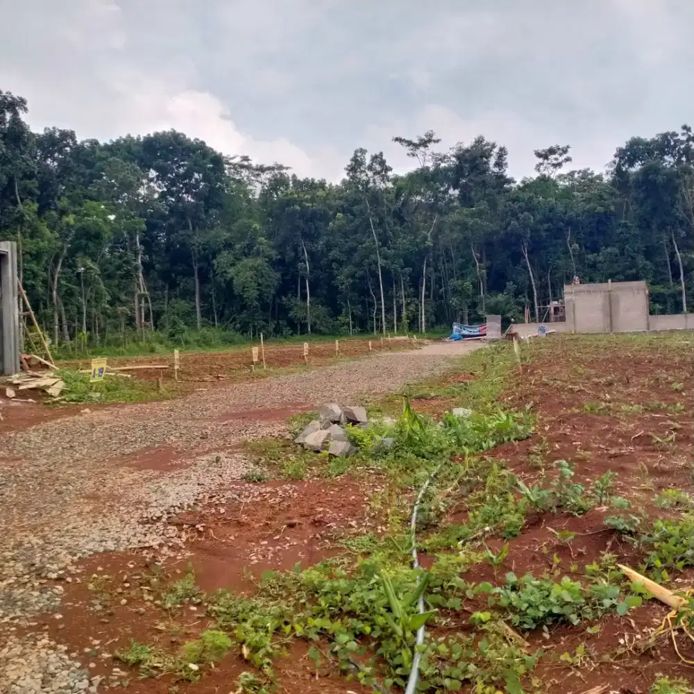 Tanah siap bangun bebas banjir kota semarang bisa cash tempo shm