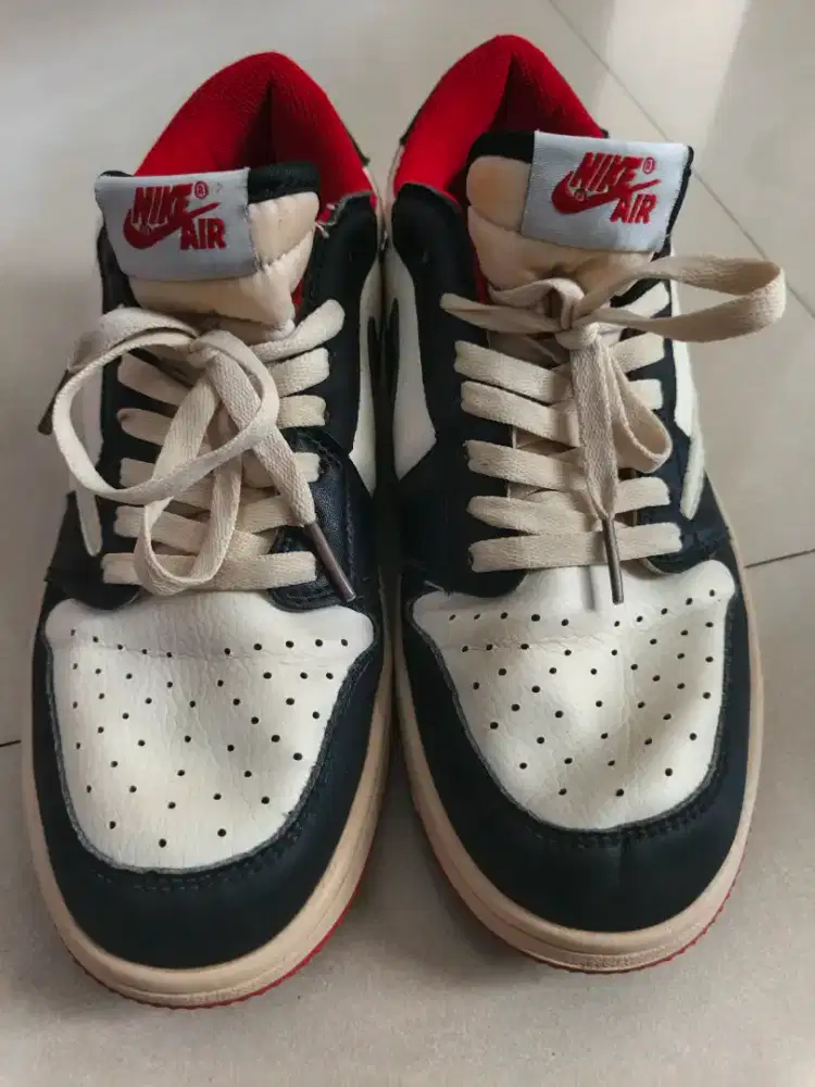 Nike Jordan Travis cactus