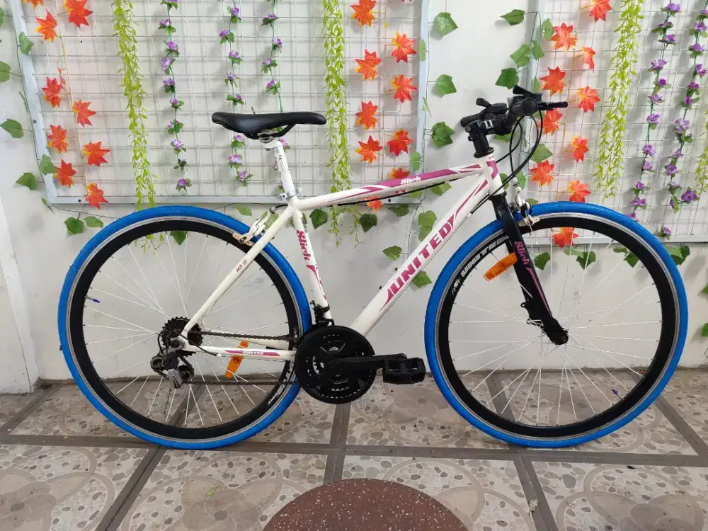 Fixie united slick bekas unyu unyu