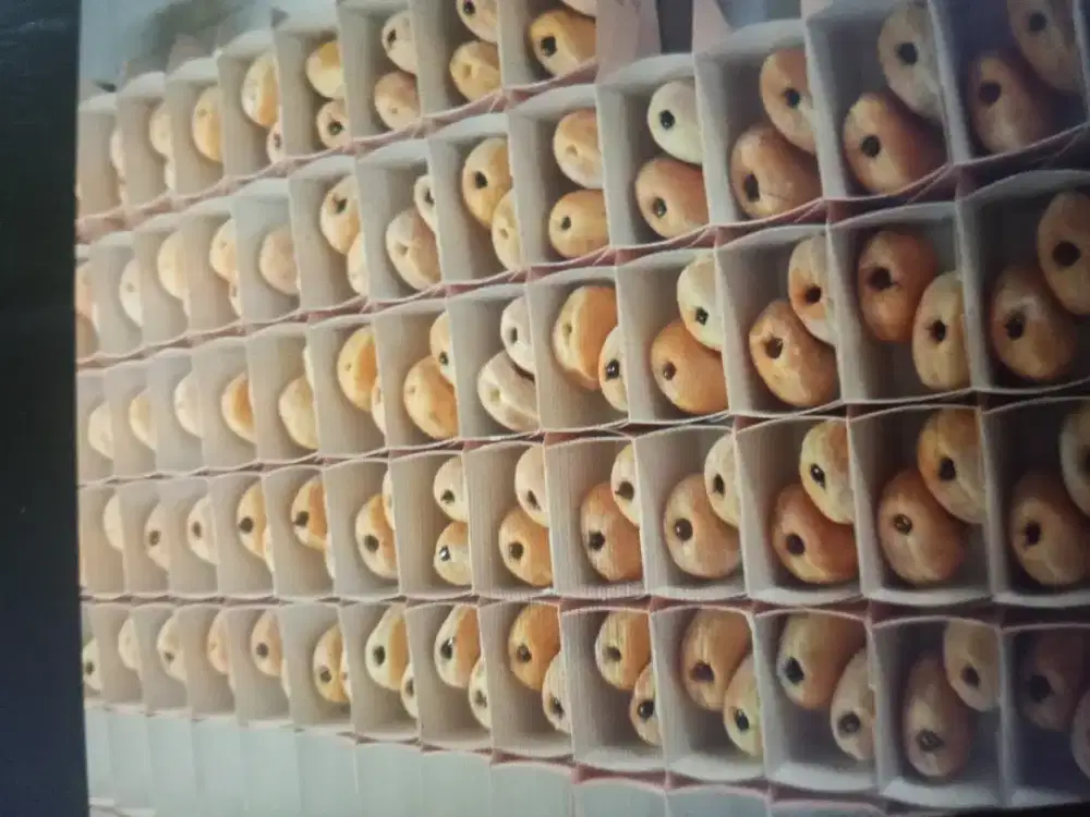 Dicari Kurir dan Kasir ( Kusus cowo)