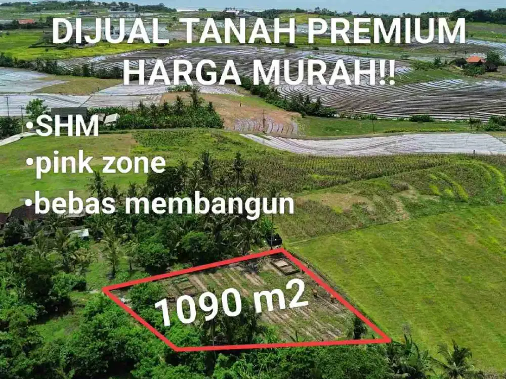 DIJUAL TANAH PREMIUM HARGA MURAH DI TABANAN BALI.