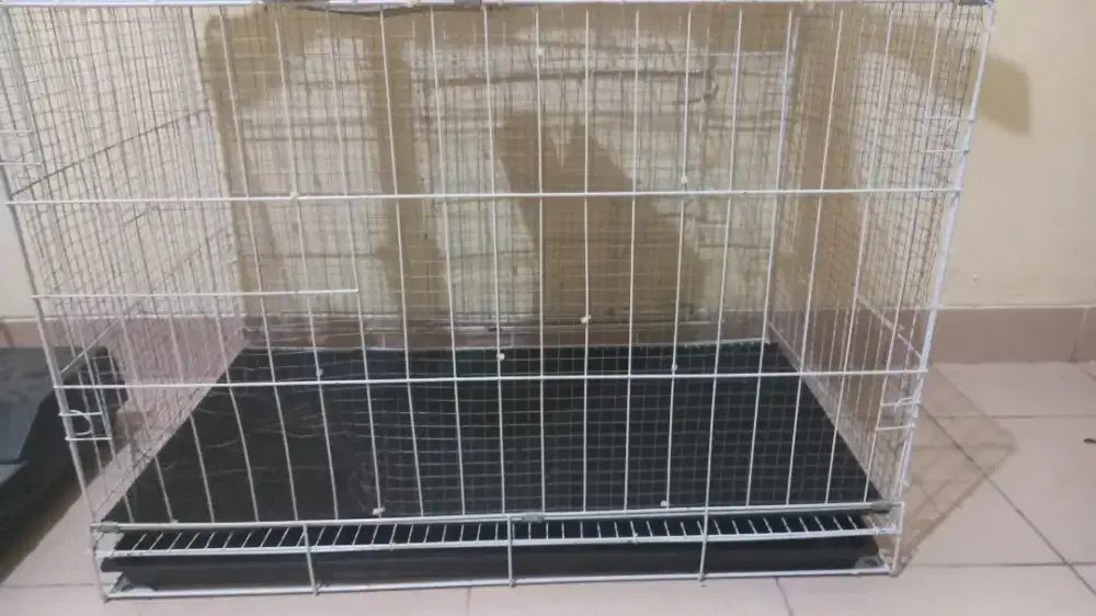 Kandang tempat makan dan ember kucing