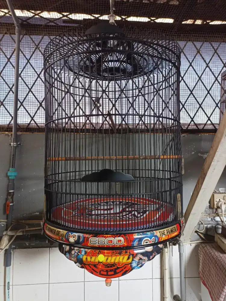 Sangkar Murai Batu PVC no 2
