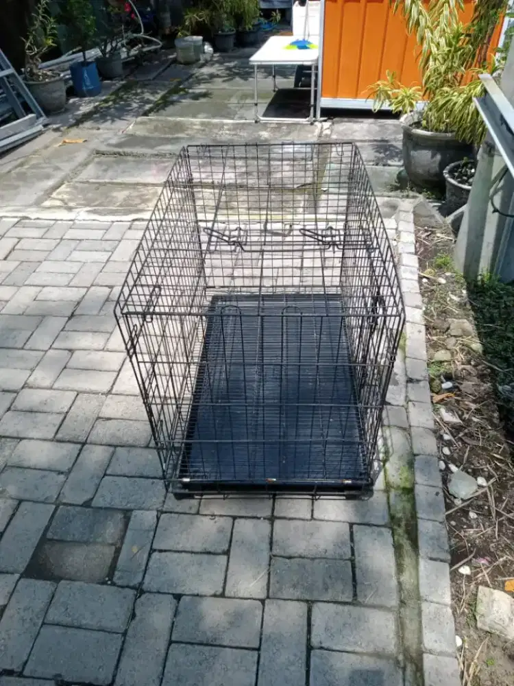 Dijual kandang kucing