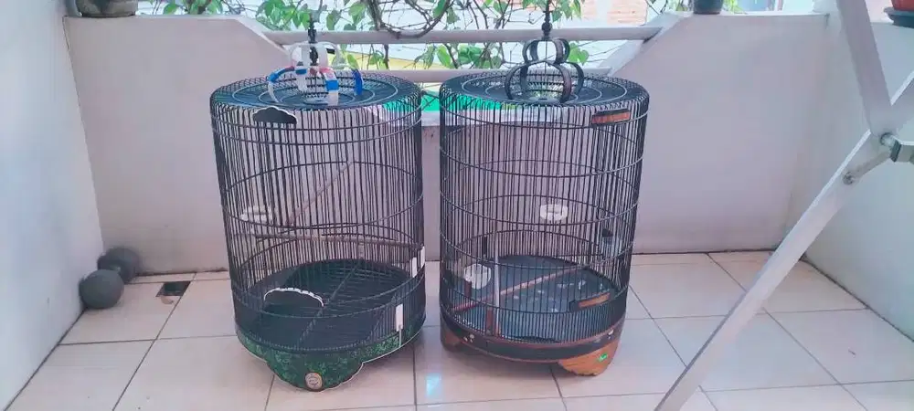 Kandang burung murai Rafi jaya & Raihan