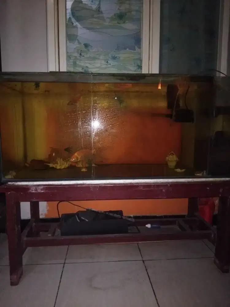 Dijual akuarium ikan beserta filternya