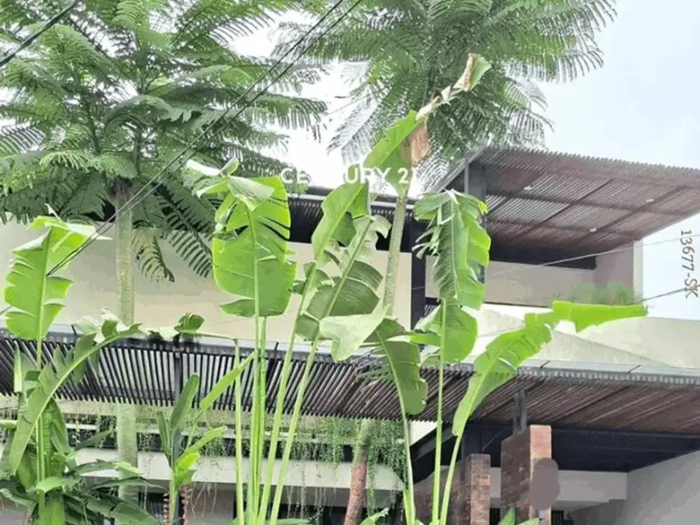 Dijual Rumah Desain Minimalis Asri Di Dekat Sektor 1 Pesanggrahan