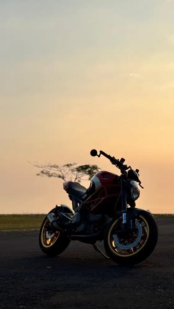 2013 Ducati monster 795 corse