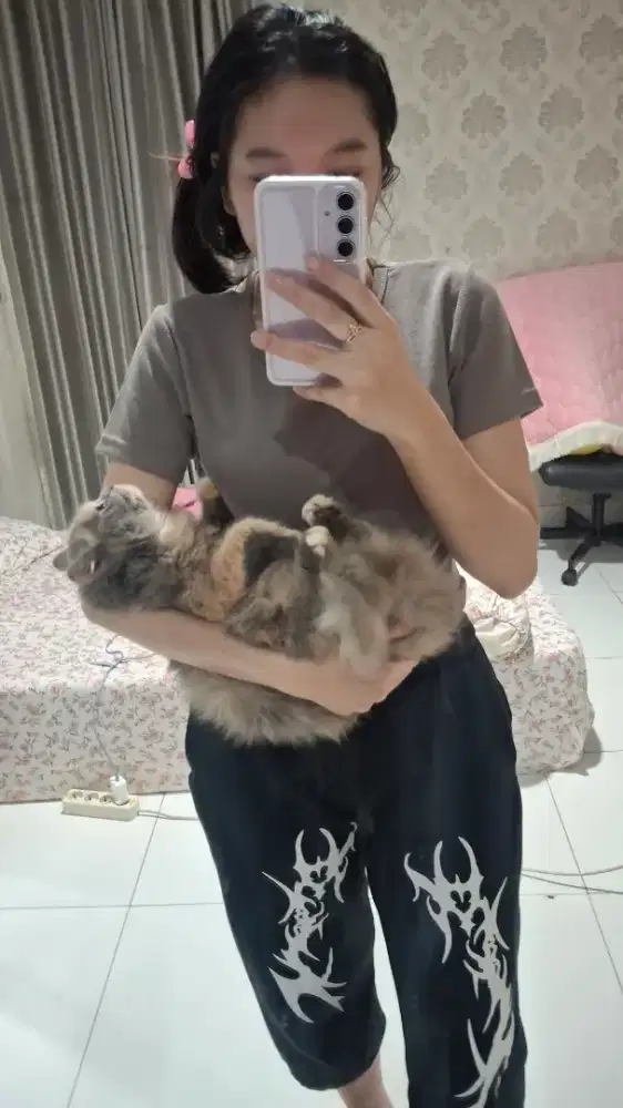 Dicari Orang Untuk Bersihin Kandang Kucing