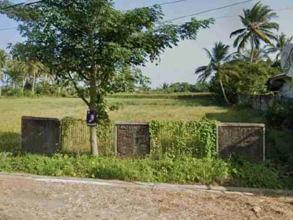 Jual Tanah Panimbang Jaya