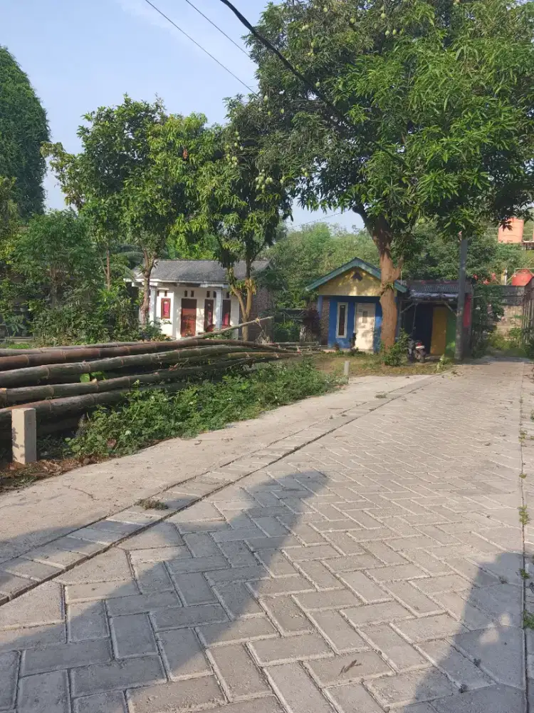 Tanah di jual jln.propinsi 50m Ds kebon Agung Kec.Puri