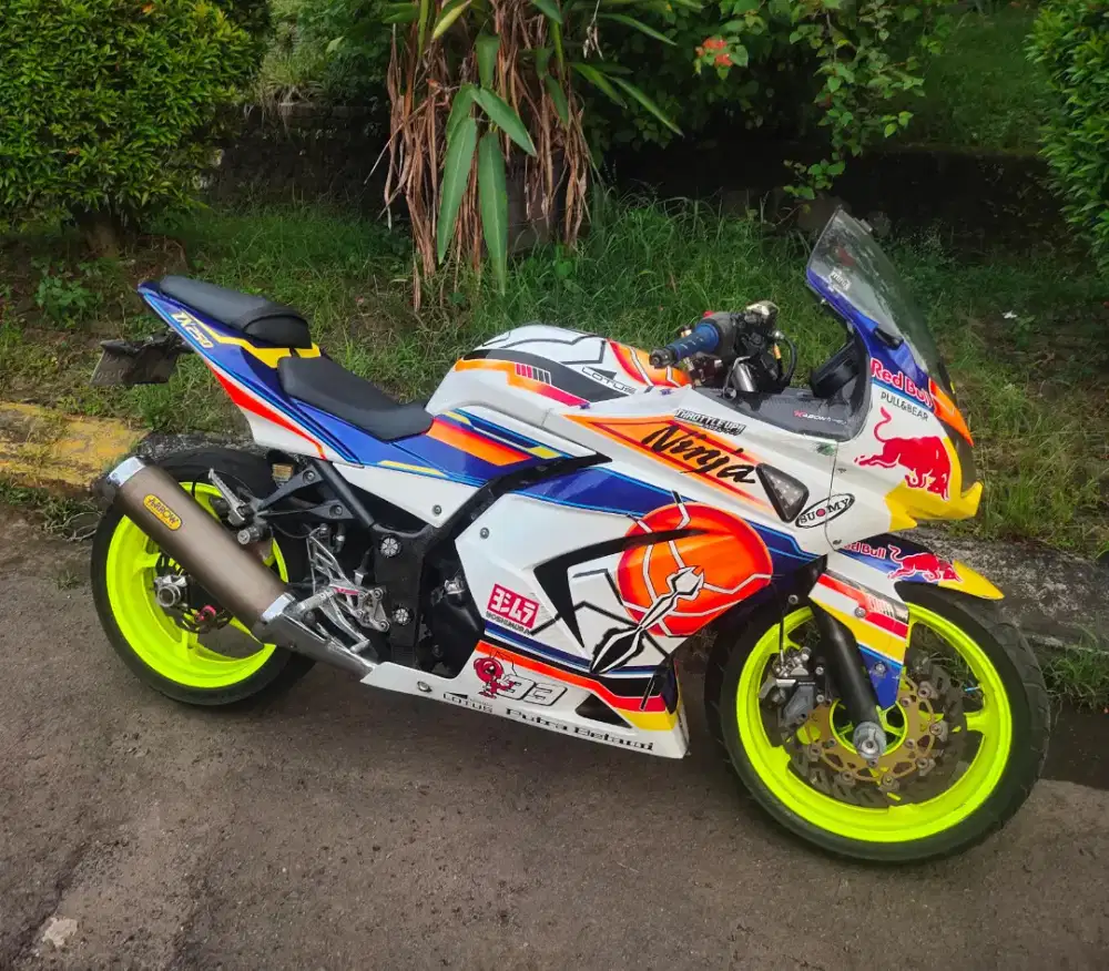 Ninja 250 Th 2012 Karbu