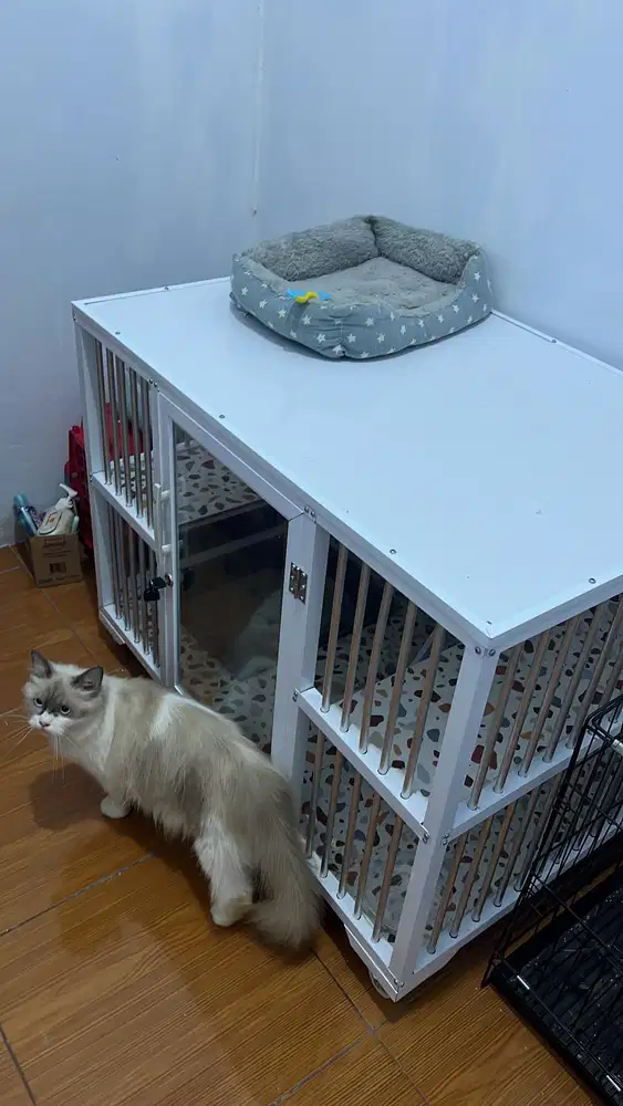 Di jual kandang kucing 1 tingkat