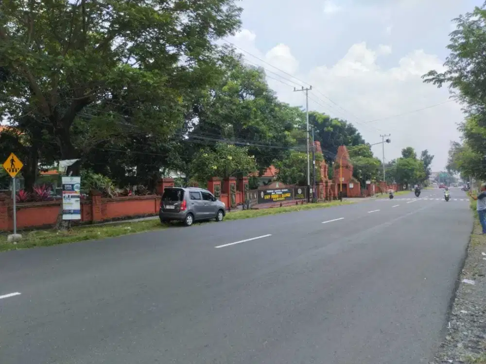 HARUS TERJUAL.TANAH SAWAH MURAH MASIH HARGA COVID, STRATEGIS di Jalan Raya Kabupaten