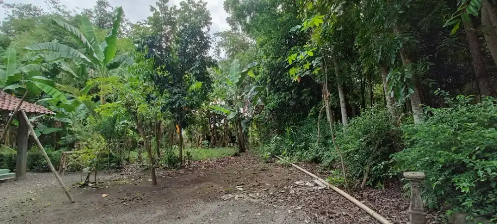 Jual tanah di Ajung dekat Jl. SMPN 1 AJUNG