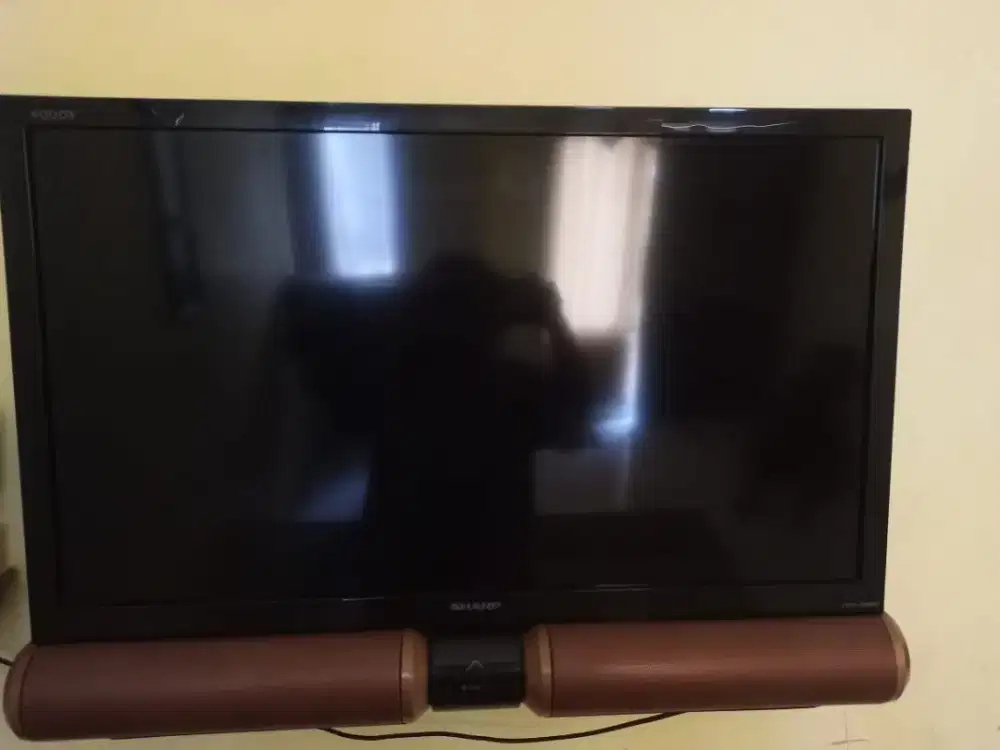 Tv dan speaker active pioner