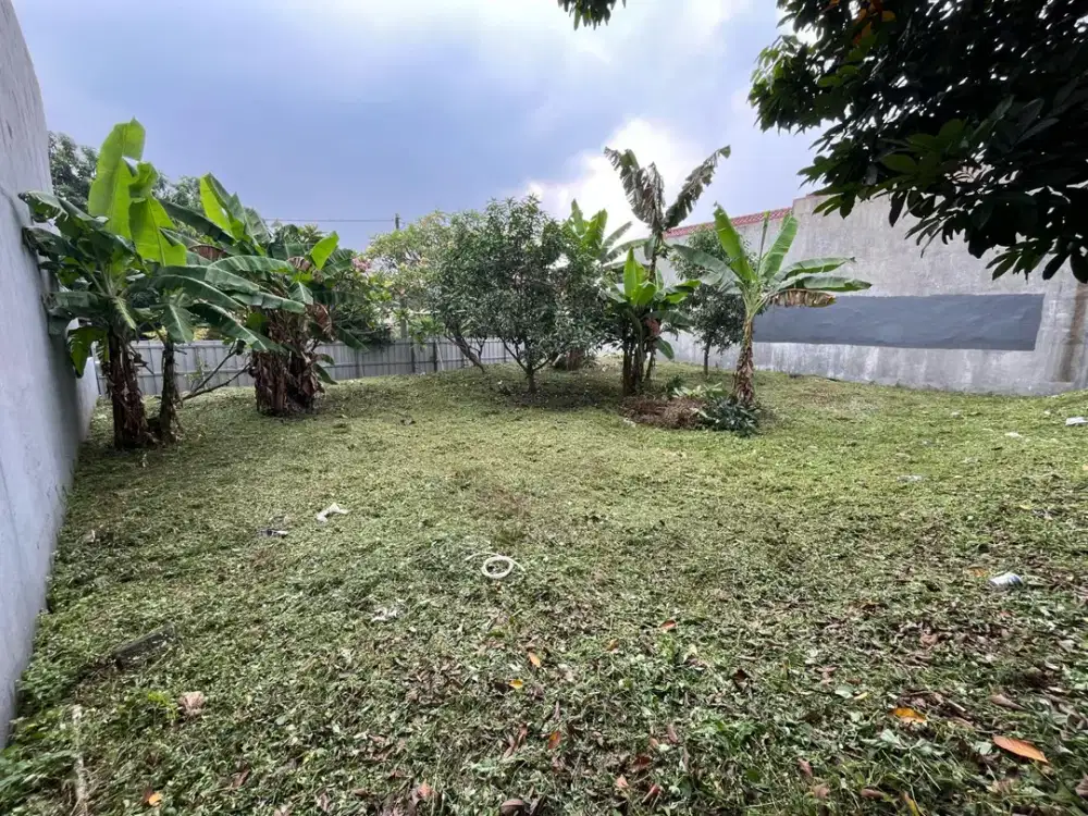 Own the Land, Own the Future!