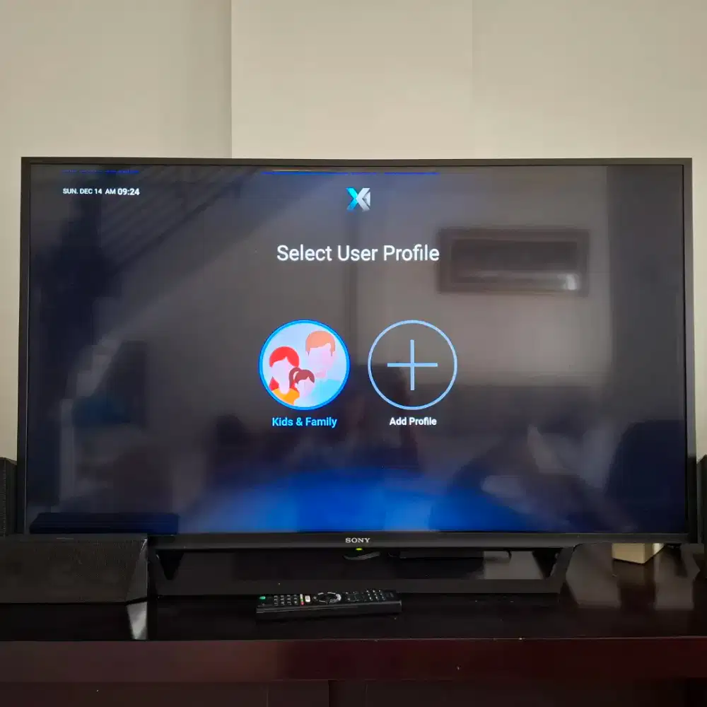 Sony Bravia LED Smart TV