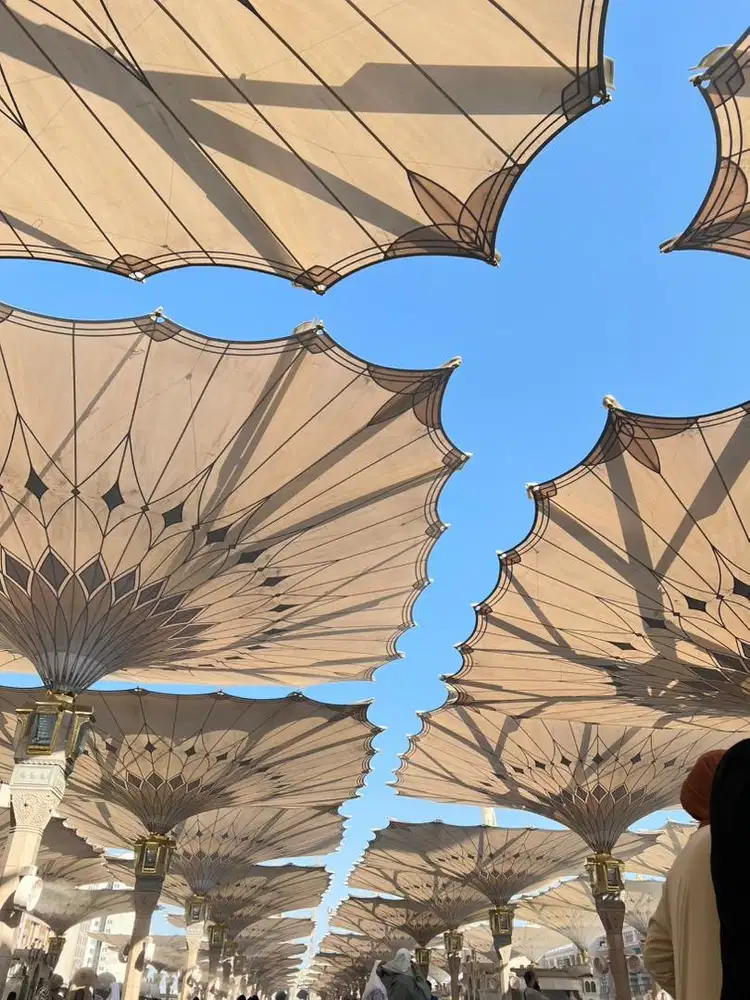 Dibutuhkan baby sitter serabutan