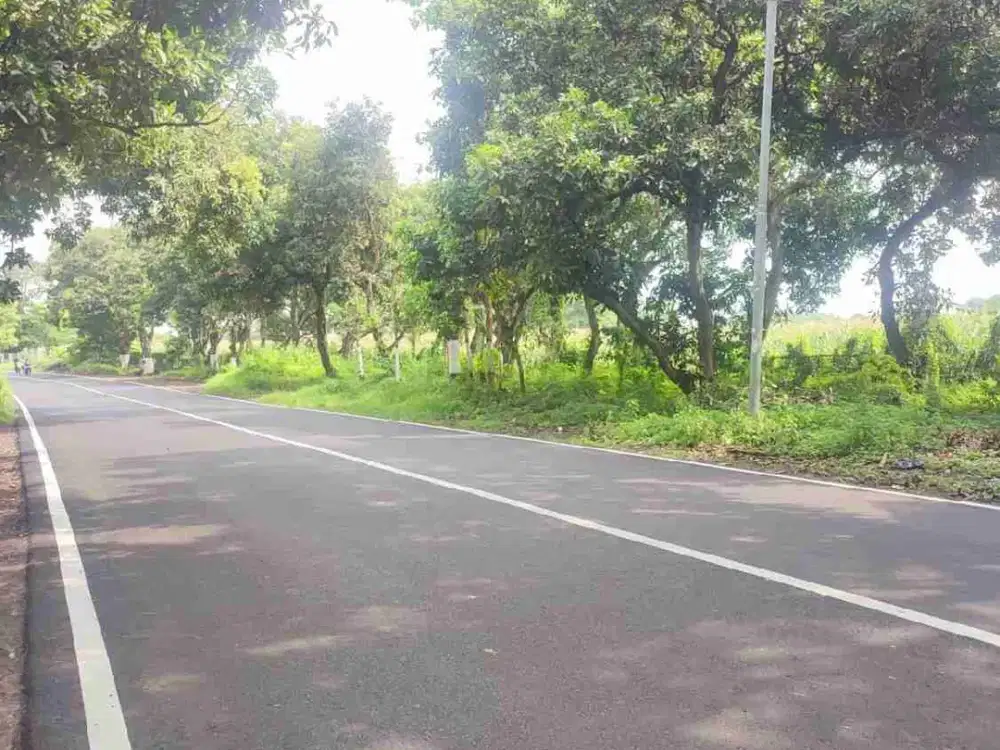 Dijual tanah dekat Exit Tol Besuki