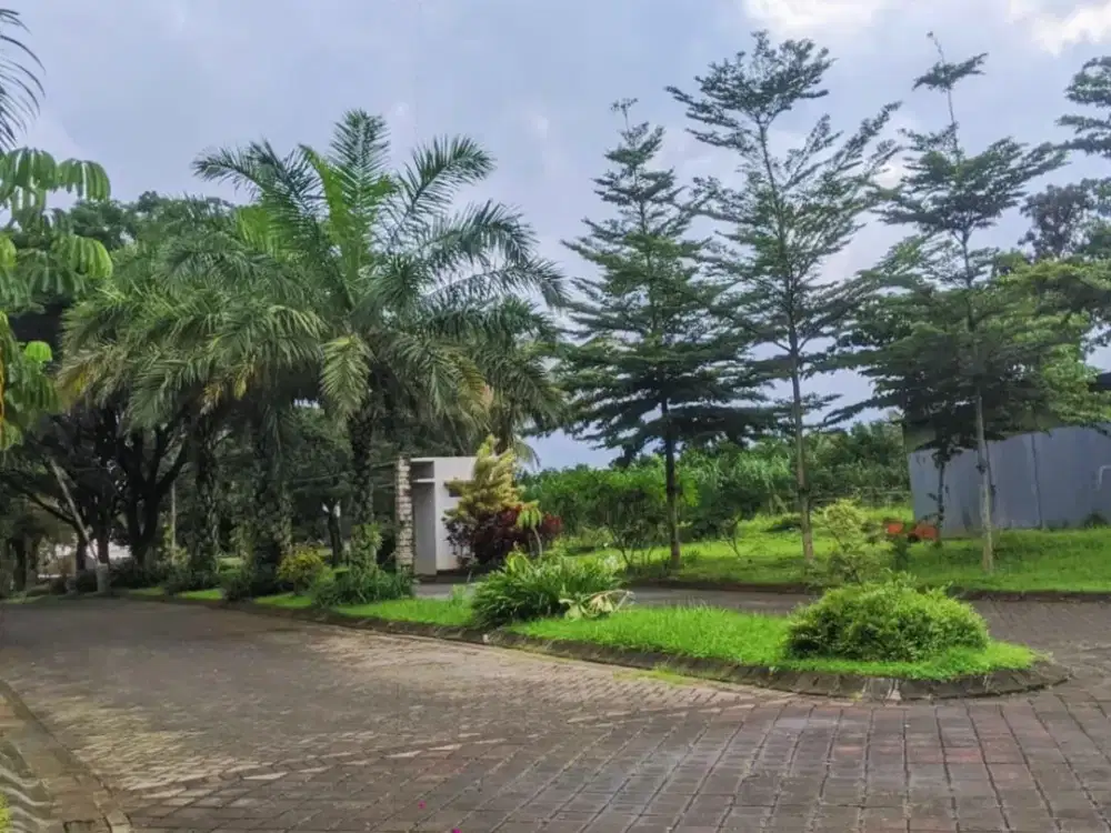 Kavling Locari Murah – Cocok Hunian & Lingkungan Tenang