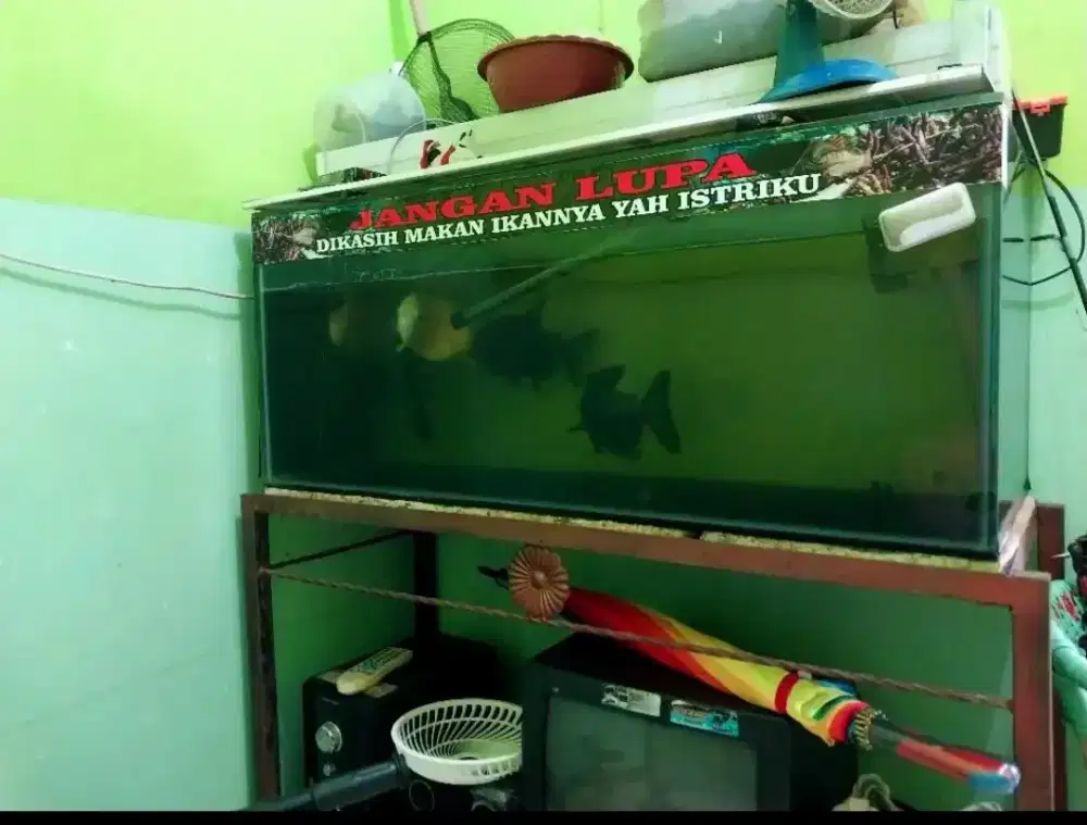 Aquarium ikan hias