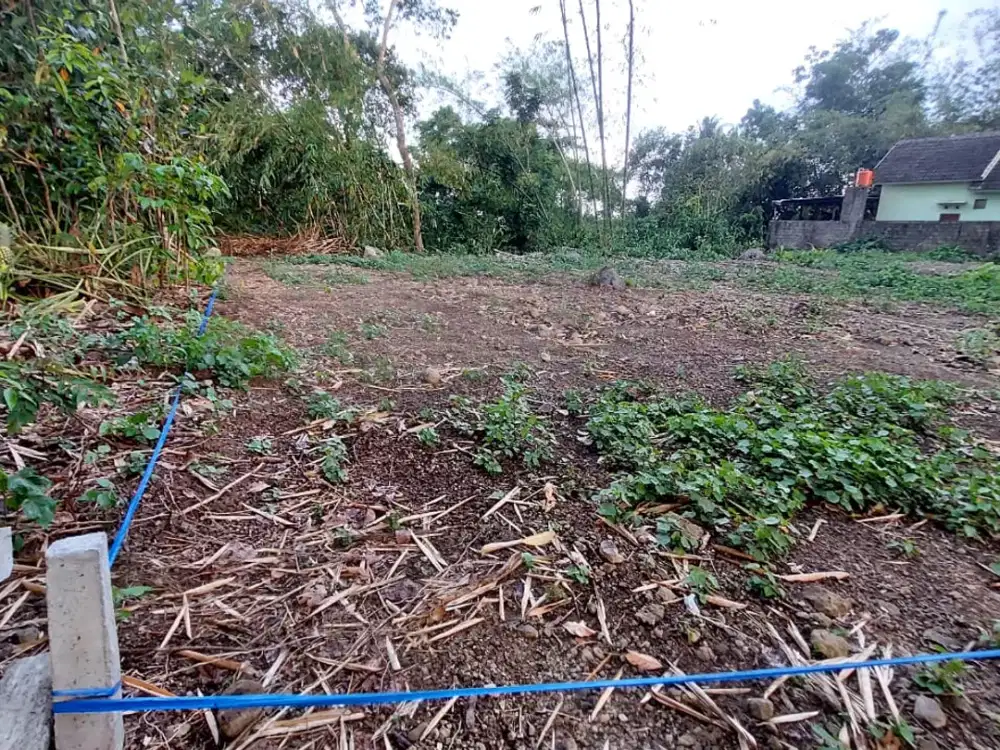 Tanah Kavling SHM Sudah Pecah Mulai 1,9 Juta/m2 di Sleman