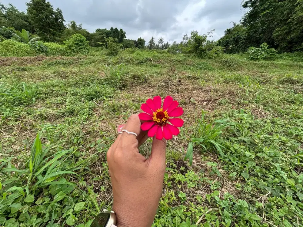 Tanah SHM Siap AJB 100 Meter Goa Maria Tebonan