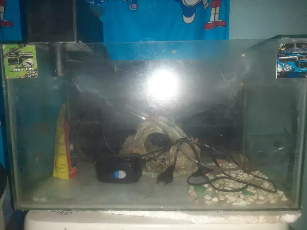Aquarium ikan kecil
