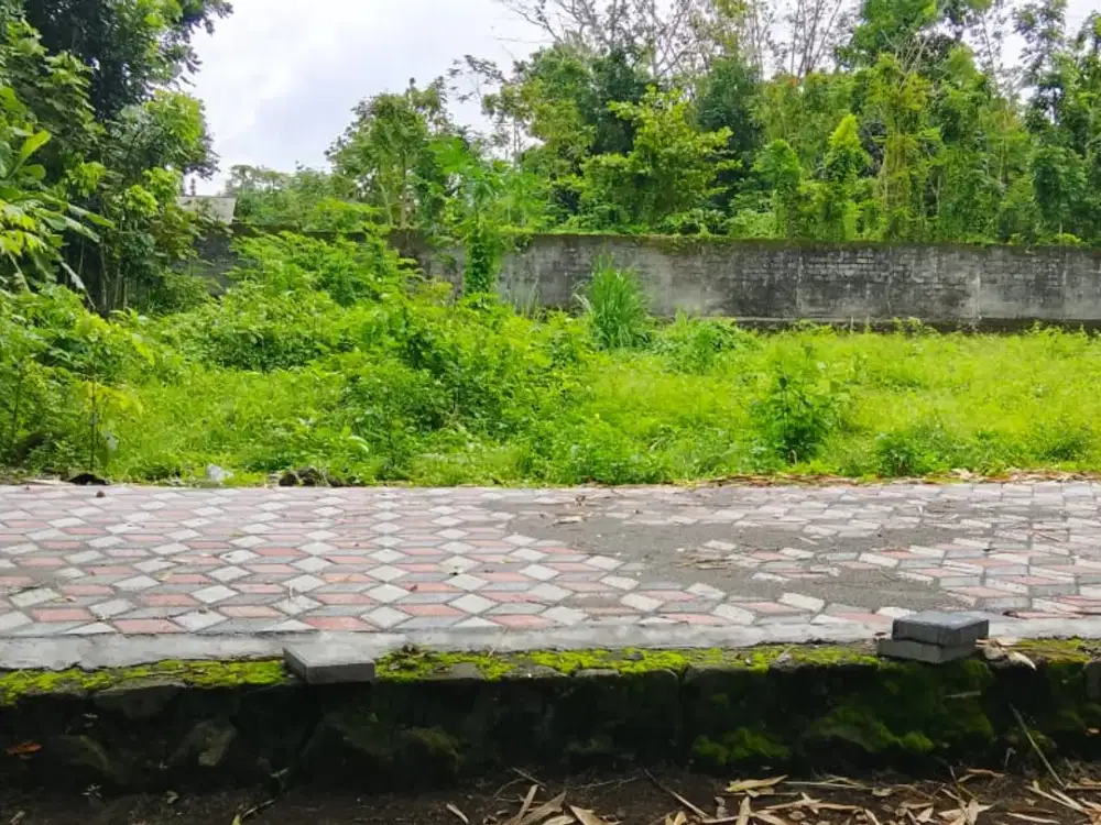 Tanah Jogja Kost Area Kampus UII Kaliurang SHM Pekarangan