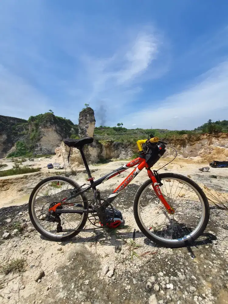 Wimcyle 24 FULL BEARING