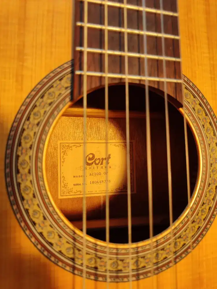 Gitar Cort AC 100 OP Nylon Solid Original