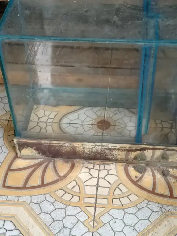 Aquarium ikan hias