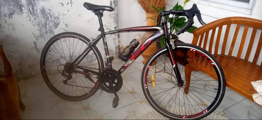 Sepeda evergreen rapier