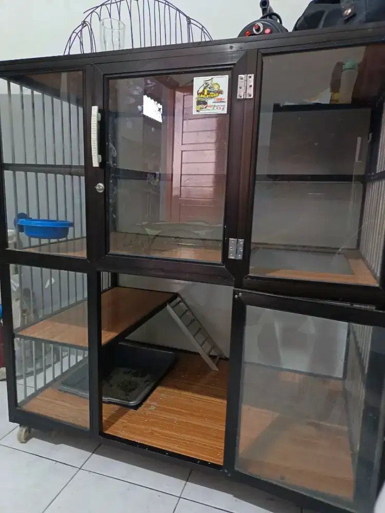 kandang kucing kacaa 2 pintu