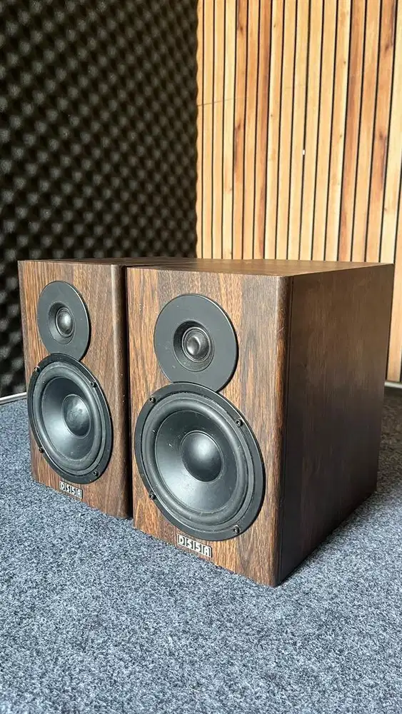 SPEAKER MONITOR RECORDING DS5A