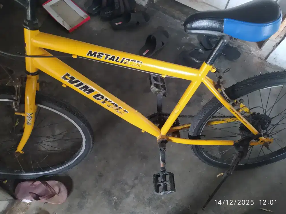 Sepeda Wim Cycle 24cm