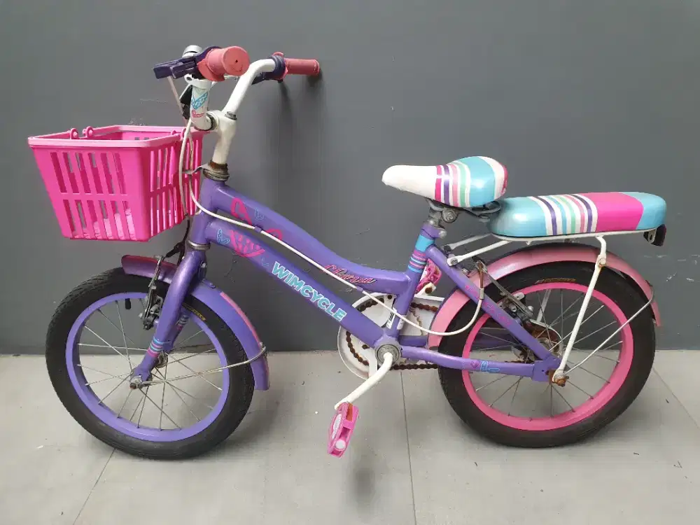 Sepeda Anak wymcycle 16 inch