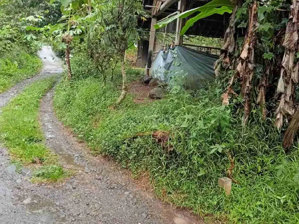 JUAL TANAH DI BANJARHARJO KALIBAWANG KULONPROGO