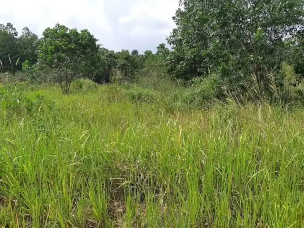 Dijual tanah luas 3500 meter