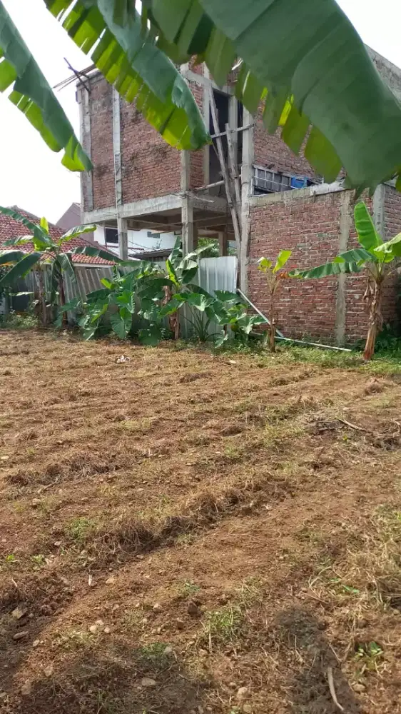 JUAL TANAH di CIOMAS