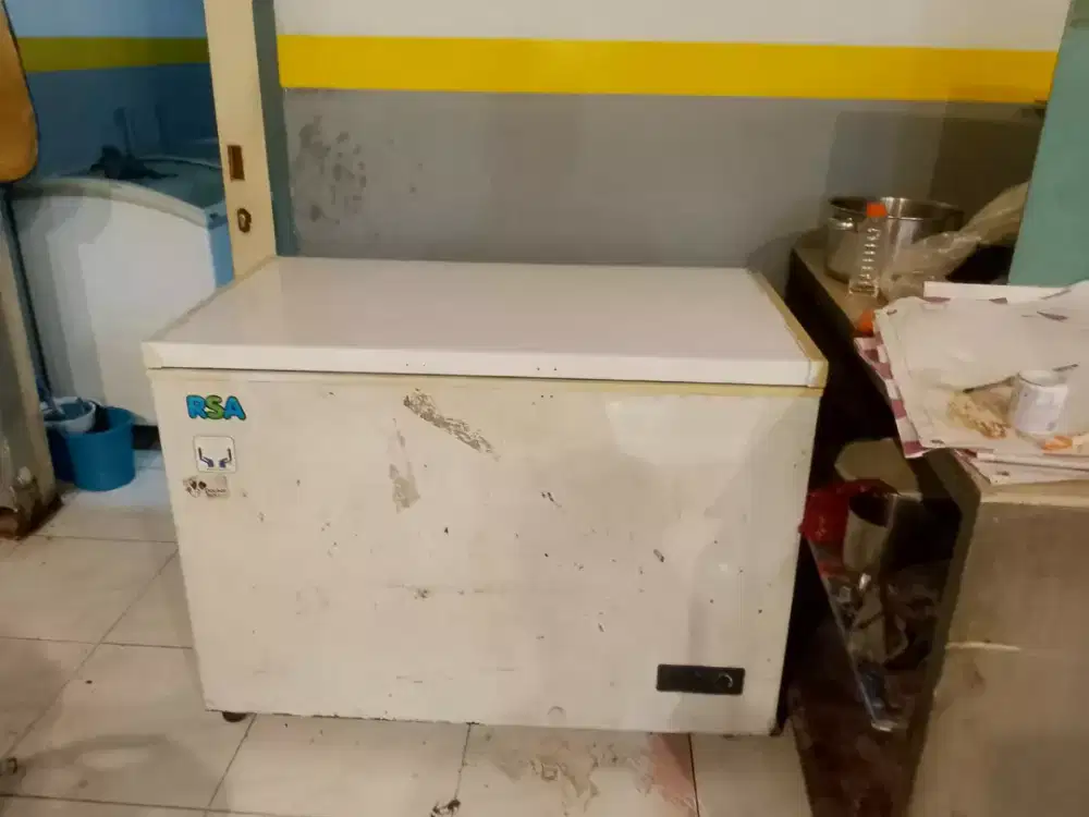 Freezer 330Liter RSH