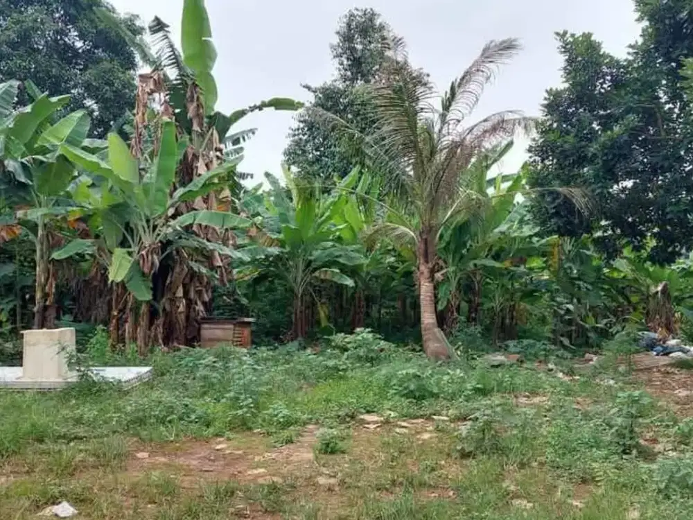 Dijual Tanah SHM 800M2 di Ciputat, Tangsel By Rumah Chinida (Jb)