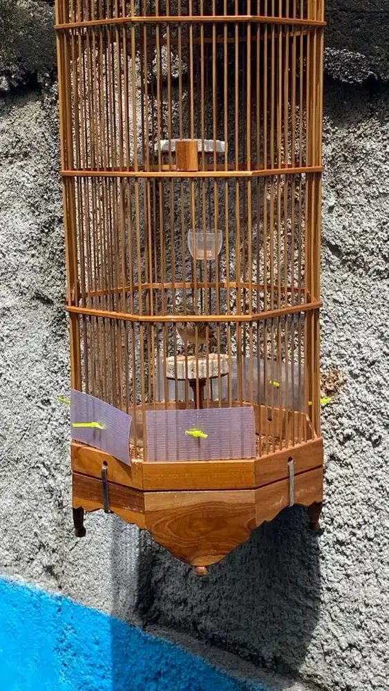 Burung Branjangan + sangkar