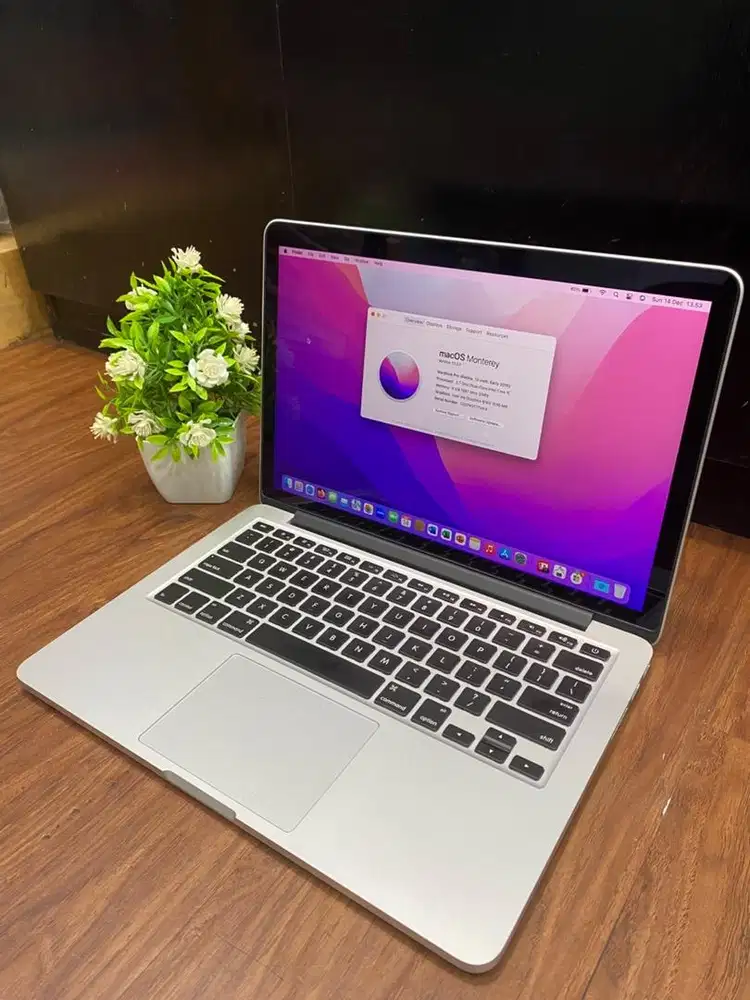 MacBook Pro 13-inch Ci5 8GB 256GB 2015