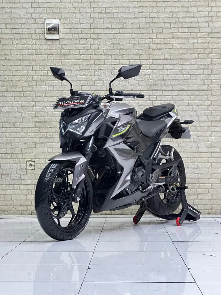NAKED FAVORIT‼️ Kawasaki Z250 2017 Silver Metallic - Mustika kepuh